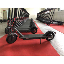 250W Best Seller Adults Electric Scooters